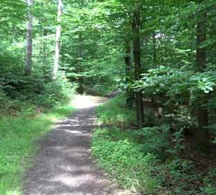 Pfaffenberg