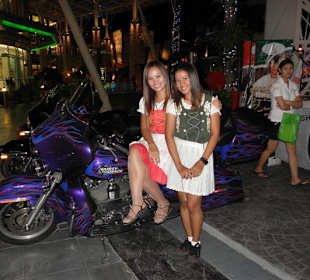 Patong in Reinkultur