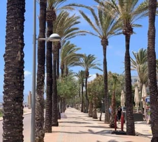 Strandpromenade Playa/Platja de Palma