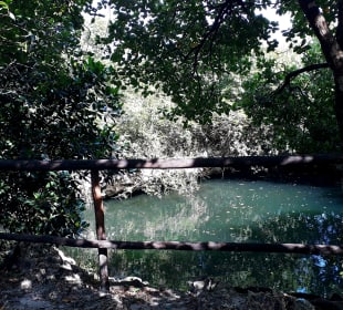 Mnarani Marine Schildkröten Conservation