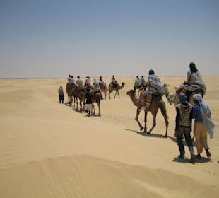 Mitten in der Sahara (bei Douz)