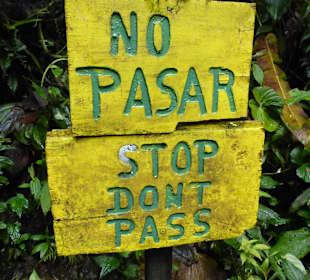 Ohne Guide sollte man nicht in den Wald gehen