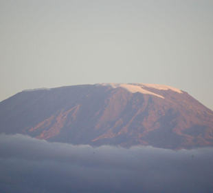 Gipel des Kilimanjaro