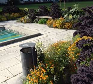 Mosaikbecken im oberen Hofgarten