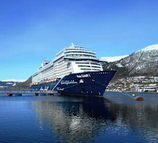 Cruise Ship Terminal