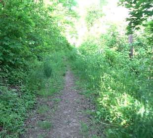 Kreuzkapellenberg