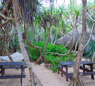 Jungle Beach Bar in Ahungalla