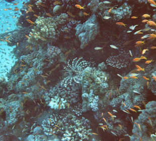 Die lieben Kleinen haben Angst vor dem "Großen"