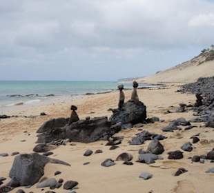 I guardiani delle spiaggia