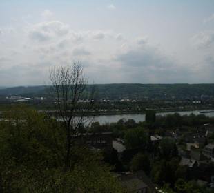 Blick auf den Rhein
