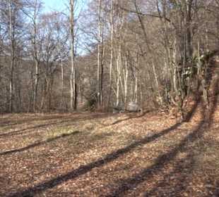 Premiumwanderweg Hohenwittlingensteig