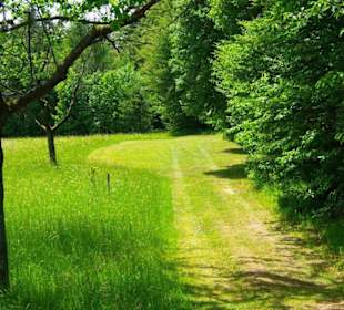 Wanderung zum Bärenfels