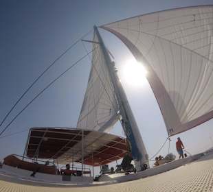 Die Segel gesetzt der Sonne entgegen