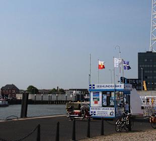 Hier geht es zu den Seehundbänken