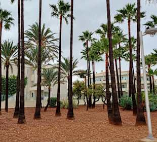 Strandpromenade S'Illiot / S'Illot
