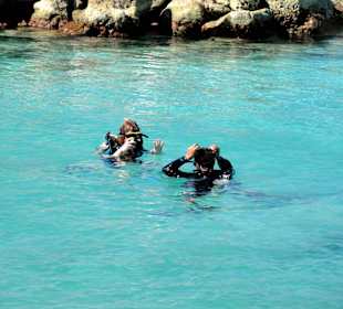 Taucher vor dem Karakter im Meer