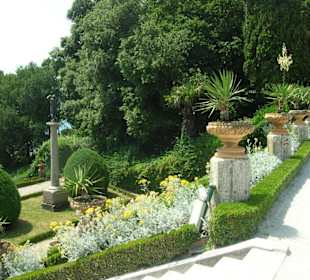 Scorcio del giardino