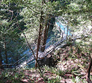 Capilano Suspension Bridge and Park