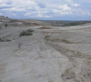 Erosionslandschaft im Dinosaur Provincial Park