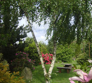 Kräutergarten von Dröbischau