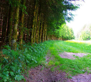 Wanderung zum Bärenfels