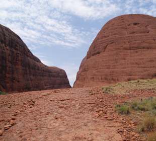 Wanderweg in den "Walpa Gorge Walk"