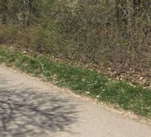 Sport- und Freizeitpark Markwasen