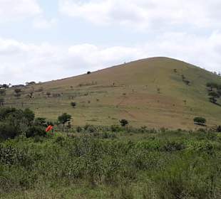 Run to the hills ....