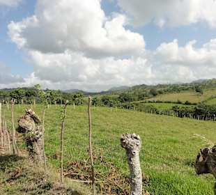 Blick ins Landesinnere