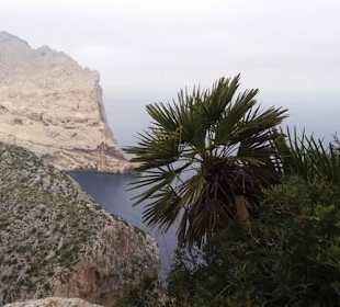 Es war einfah nur traumhaft