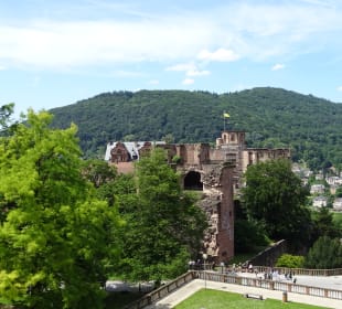 Schloss Heidelberg und Park
