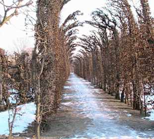 Parkanlage Schönbrunn
