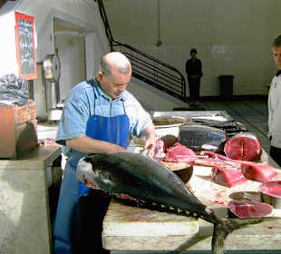 In der Fischhalle
