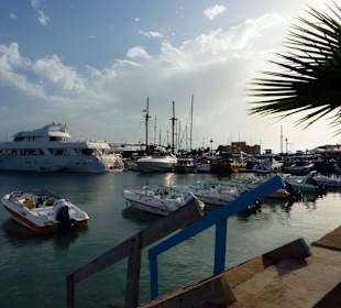 Am Hafen von Paphos
