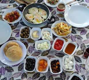 Gastro