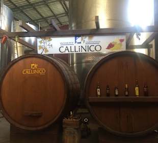Barrels and bottles