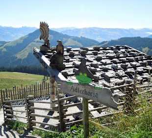 Ellmis Zauberwelt