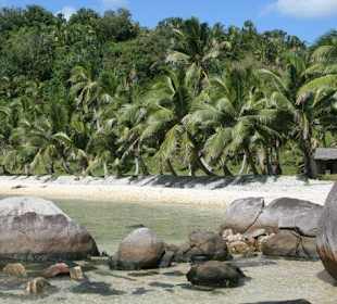 Ausflug zur Coco Bay