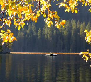 Goldener Herbst am See