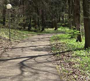 Baumlehrpfad Sontheim