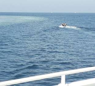 Rosetta 3  3 Riff zum Schnorcheln