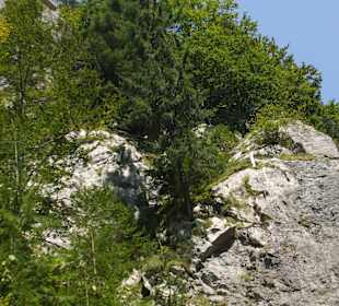 Cascada Valul Miresei