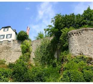 Burg Eppstein