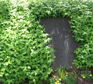Friedhof Pfalzgrafenweiler