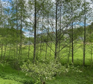 Wandern Elzach
