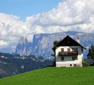 Blick auf den Schlern