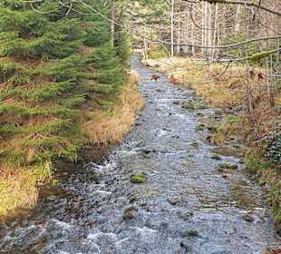 Wandern Lam