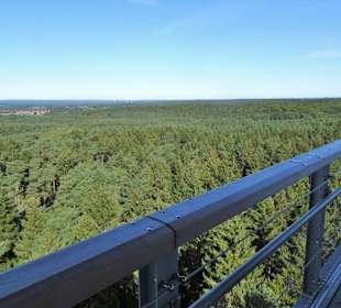 Blick von der Plattform des Aussichtsturmes