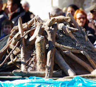 Bund Naturschutz Festwagen Biber
