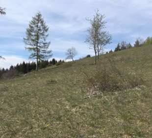 Hausberg Beutenlay